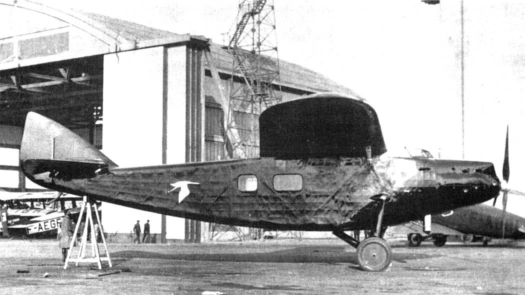 Bernard 19