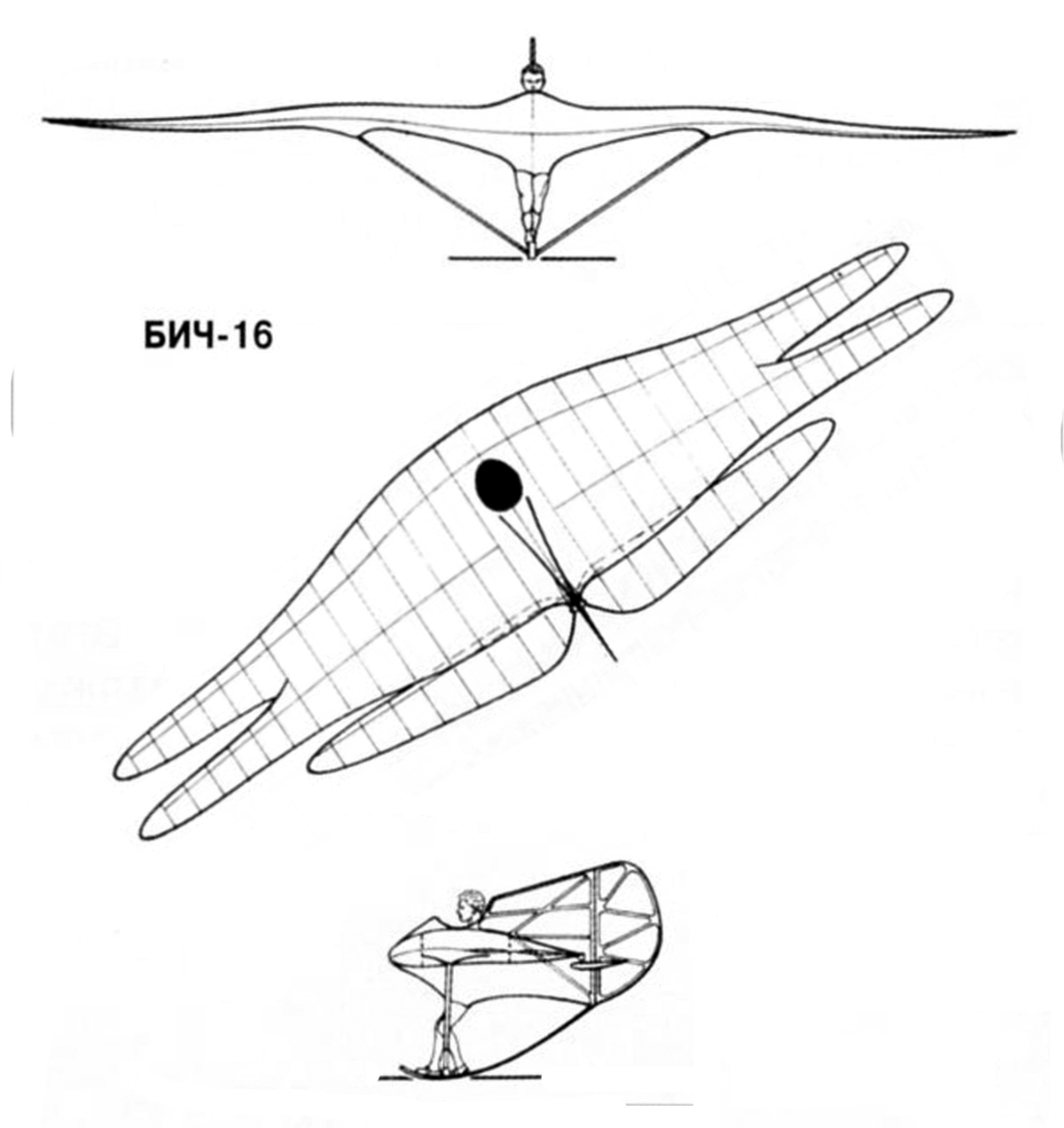 BICH-16