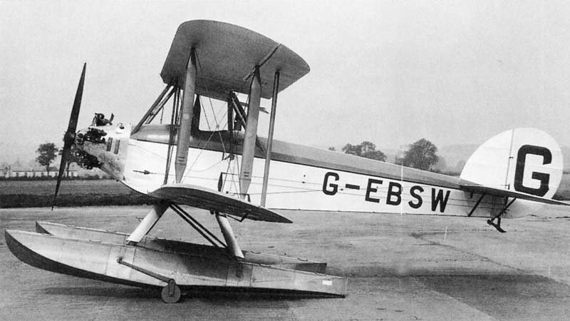 L.1 Bluebird