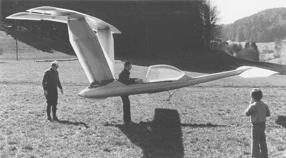 Canard 2FL planeador ultraligero