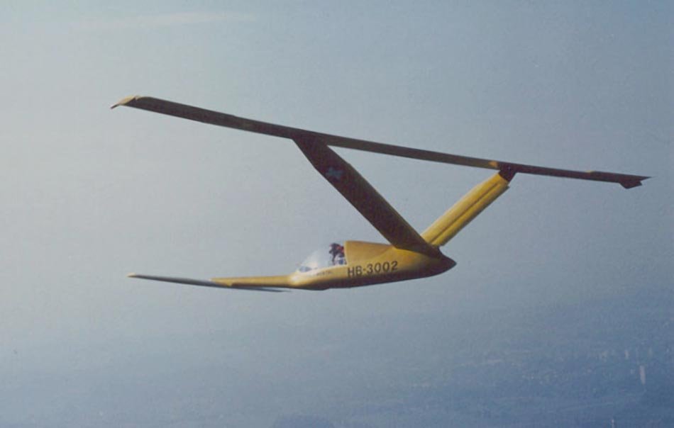 Canard 2FL planeador ultraligero