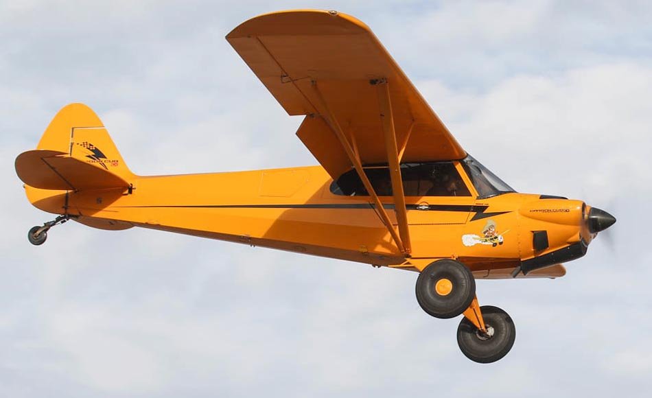 Carbon Cub EX