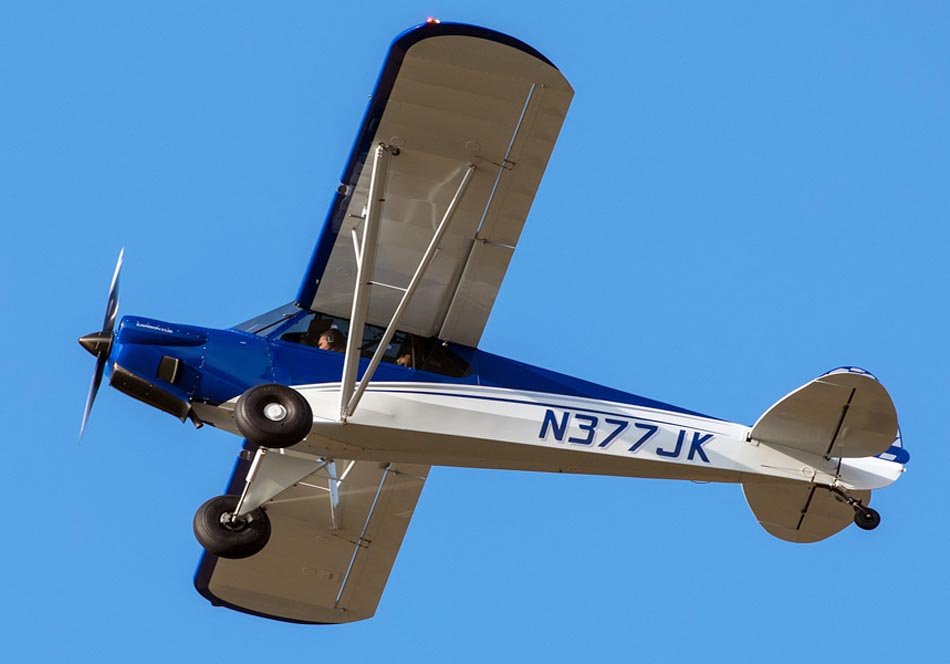 Carbon Cub SS