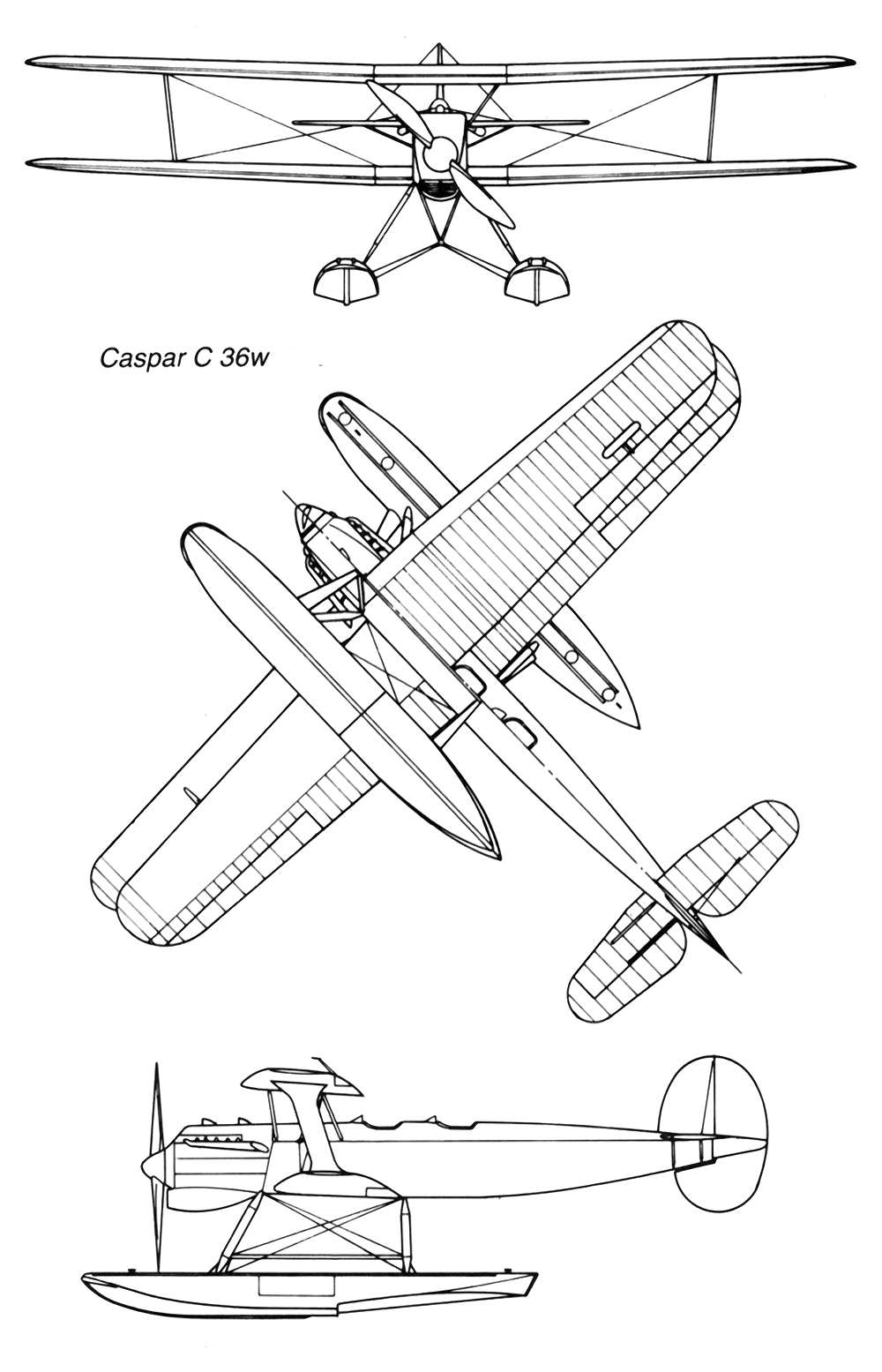 C.36