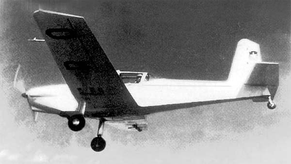 Chincol avión de entrenamiento