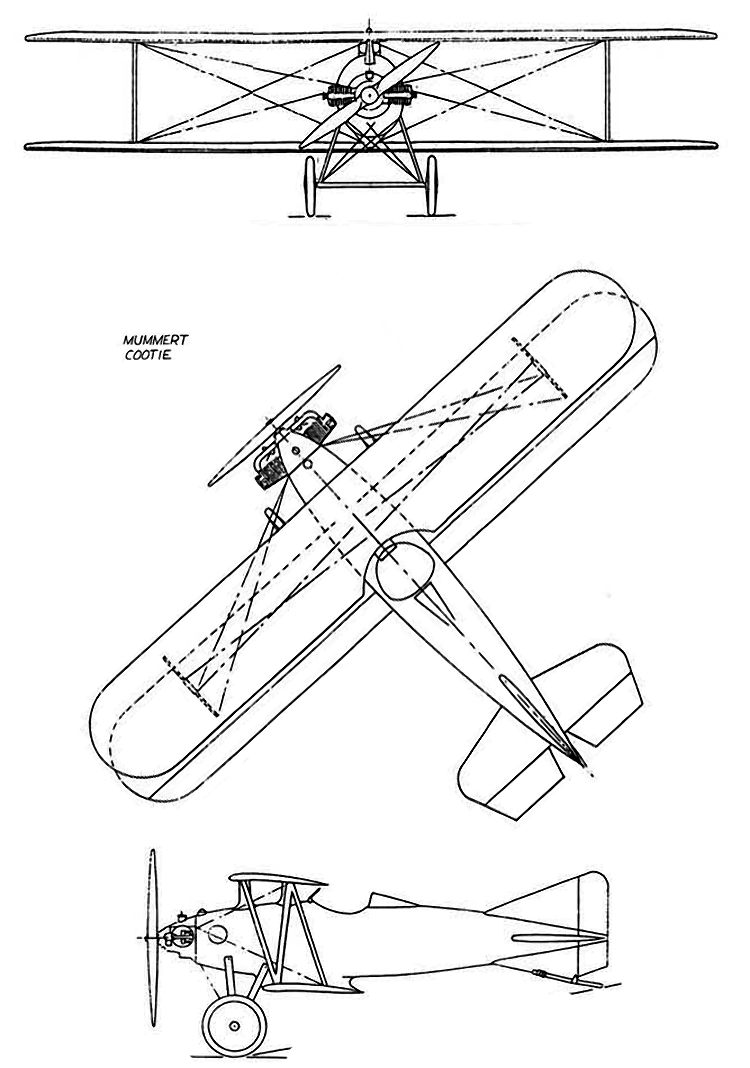 Cootie avión