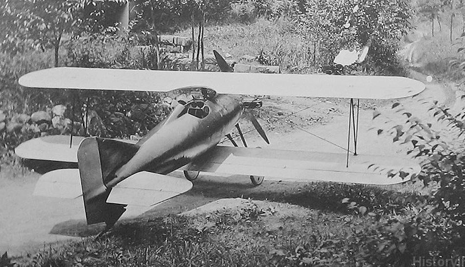 Cootie avión